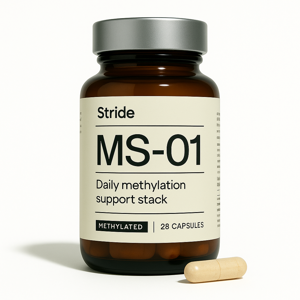 Stride MS-01