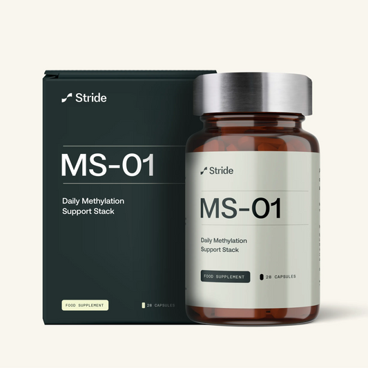 Stride MS-01