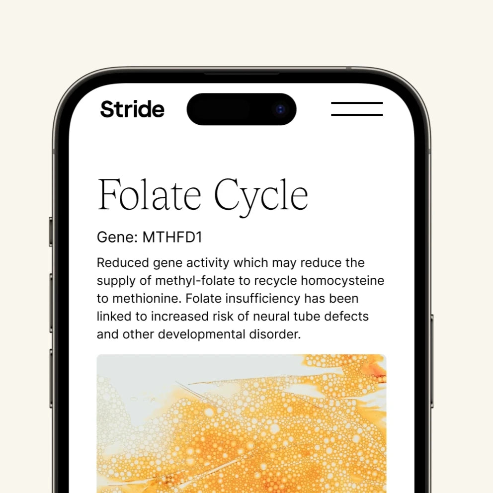 StrideDNA Link -  Methylation + Nutrigenetic