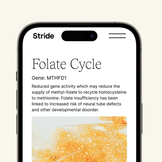 StrideDNA Link - Methylation